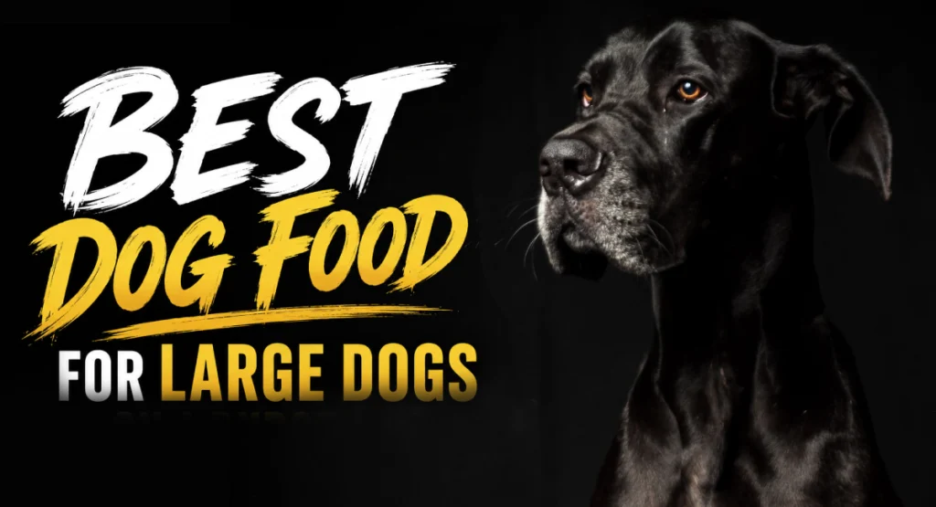 best dog food for large dogs on a budget uk