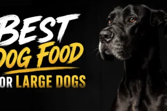 best dog food for large dogs on a budget uk