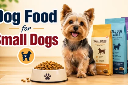 best dog food for small dogs on a budget uk