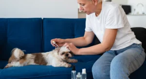 best flea treatment for dogs uk 2026