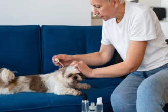best flea treatment for dogs uk 2026