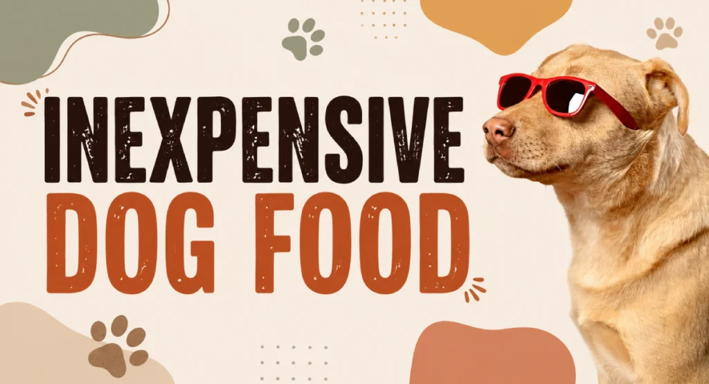 best inexpensive dog food