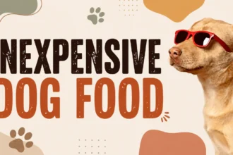 best inexpensive dog food