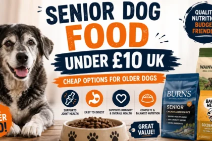 best senior dog food under £10 uk