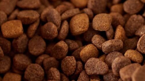 Best Budget Dog Food UK: How to Feed Your Dog Well for Under £1 a Day image