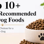 most recommended dry dog food