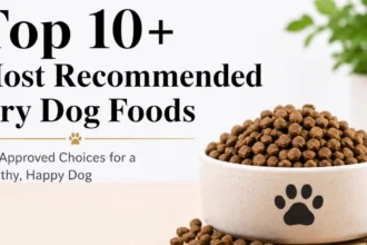 most recommended dry dog food